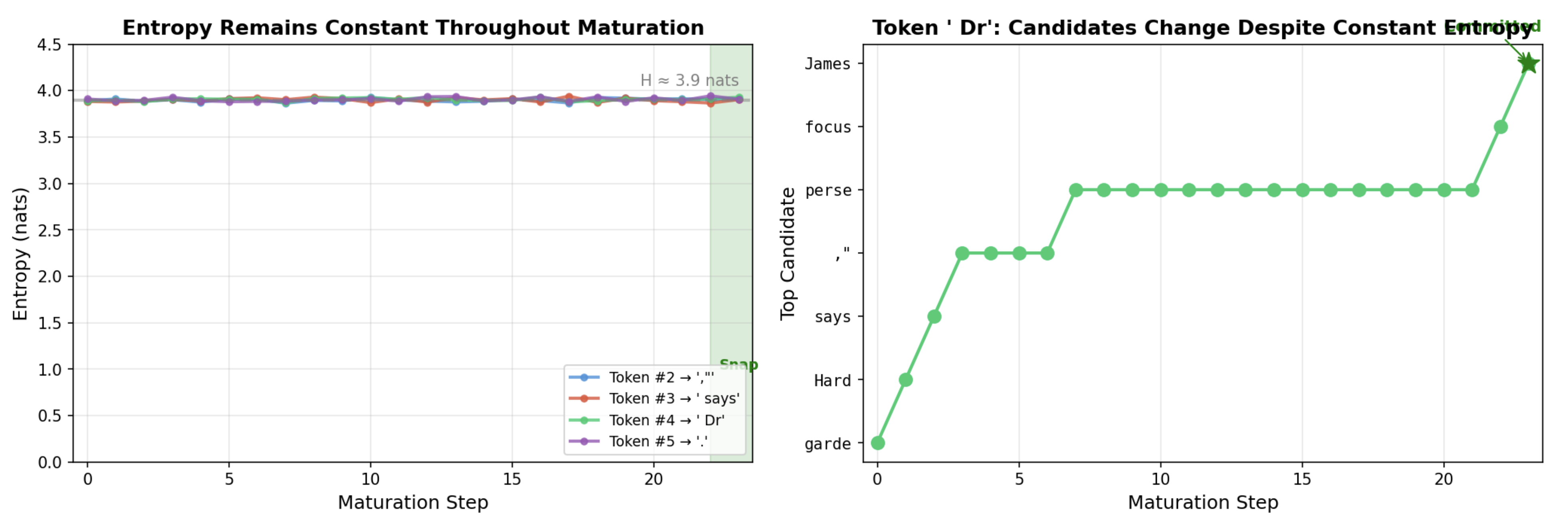 Entropy during maturation